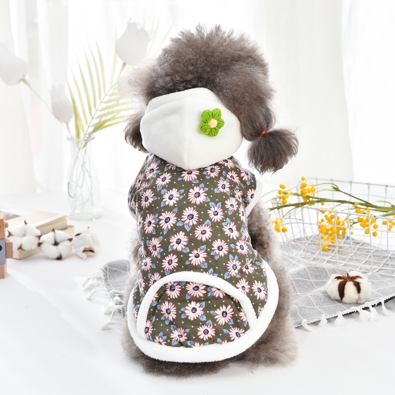 En Oferta: Sudadera con Capuch - Winter Clothing On Sale reseña y precio