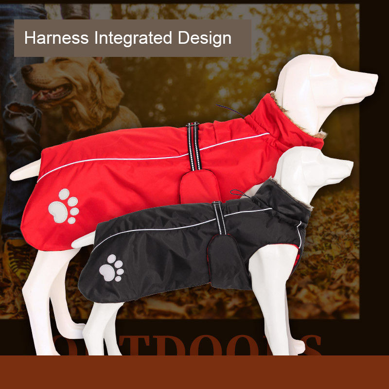 Ropa de alta calidad para perr - Quality Winter Clothing Jacket reseña y precio