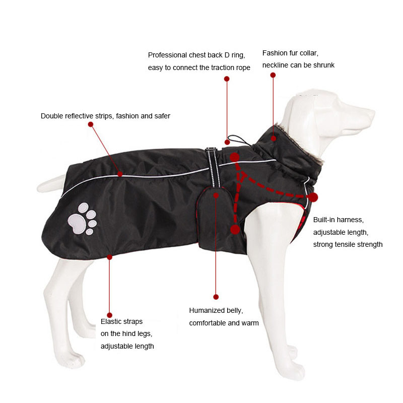Ropa de alta calidad para perr - Quality Winter Clothing Jacket reseña y precio
